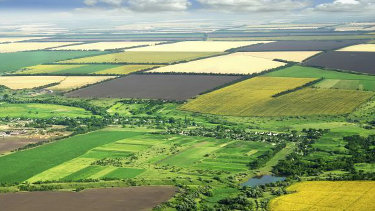 Raport: Până la 40% din terenul agricol din România a ajuns să fie deținut de investitori din alte țări