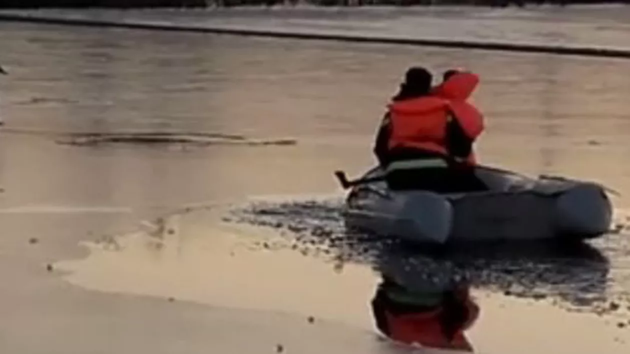 Misiune SPECIALĂ a militarilor pe un lac înghețat din Caracal. O lebăda împușcată a avut nevoie de ajutor (VIDEO)