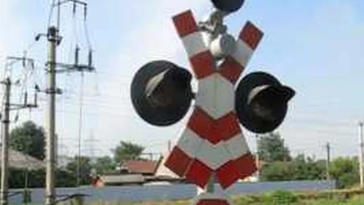 Turmă de oi, spulberată de tren în Buzău: Ciobanul a murit (VIDEO)