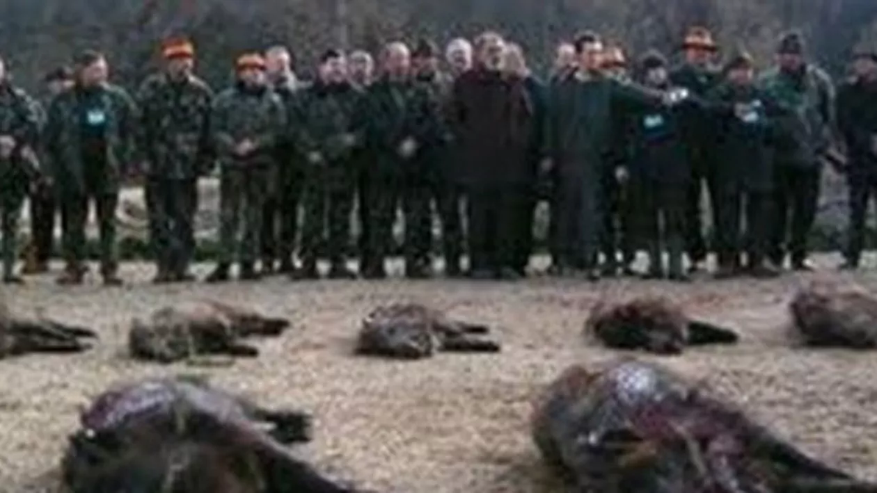 Miliardarii lumii, în România: Începe vânătoarea de mistreți de la Balc (VIDEO)