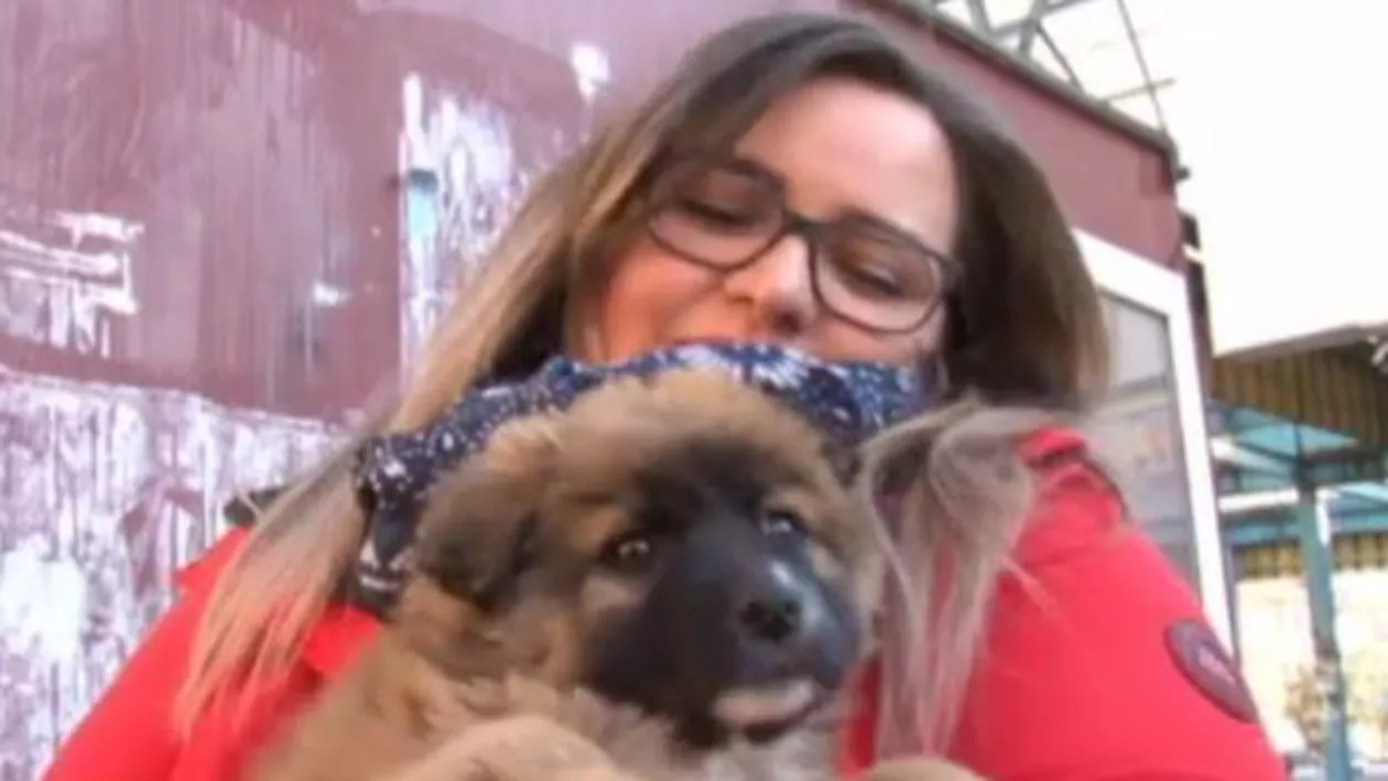 Mai mulți băcăuani au SALVAT o CĂȚELUȘĂ care căzuse într-o gură de canalizare. Micuța STAR își caută acum stăpân (VIDEO)
