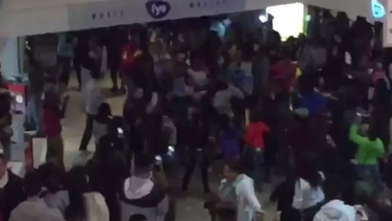 Haos în mai multe centre comerciale din Statele Unite: Mai multe persoane au fost arestate în urma unor încăierări violente în mall-uri din 15 orașe (VIDEO)