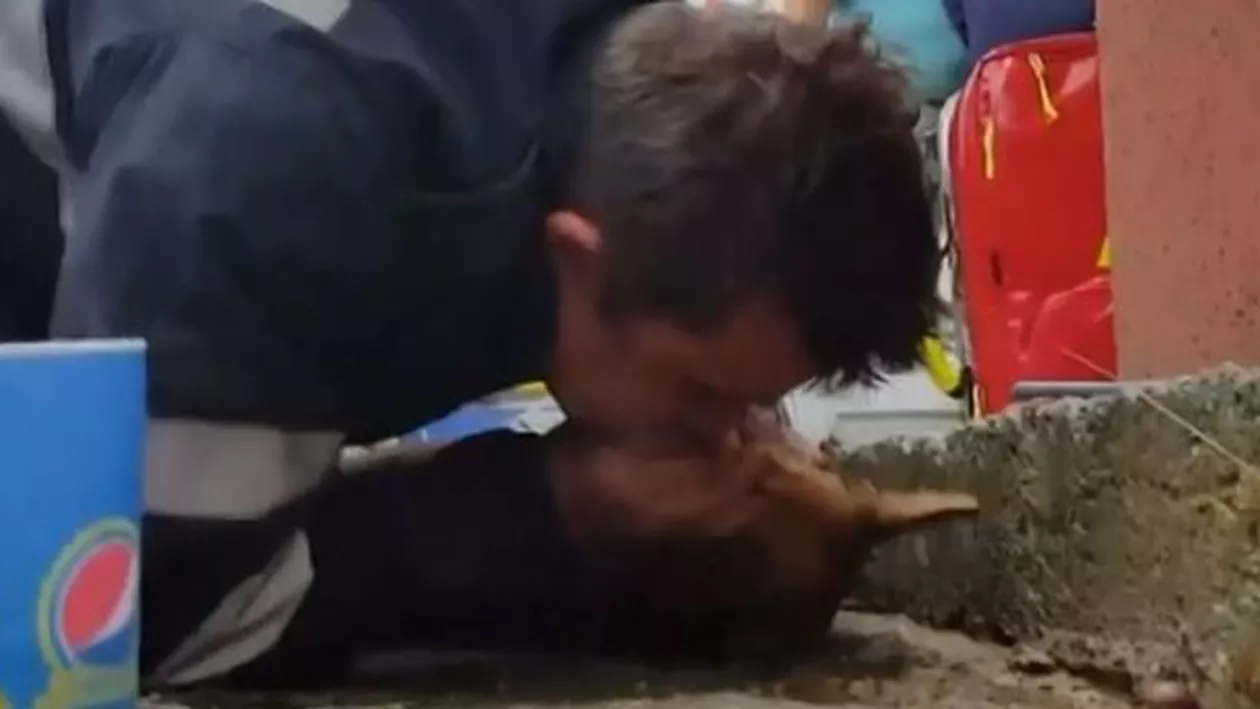 GEST EMOȚIONANT: Cățelul resuscitat cu respirație gură la gură a devenit mascota ISU Mureș (FOTO)