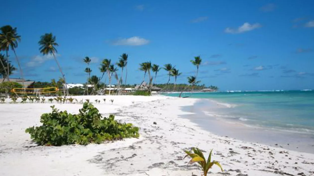 Faci poze pentru Instagram și te ÎMBOGĂȚEȘTI! Vezi AICI cum