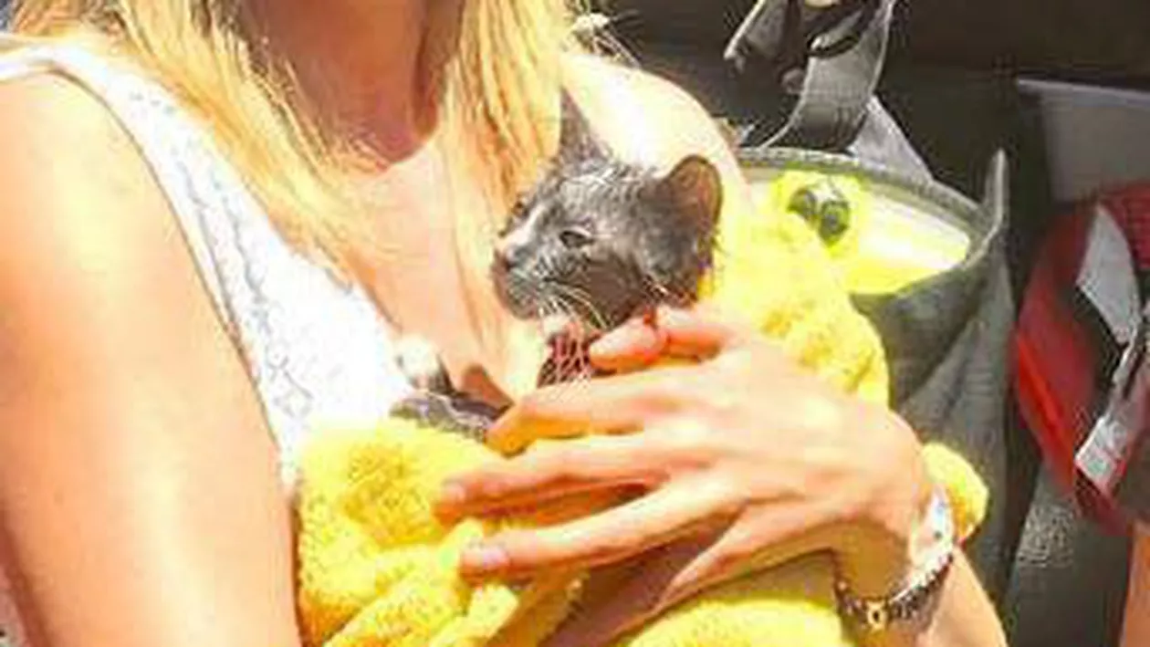 O femeie a pornit mașina de spălat cu pisica înauntru, în mod accidental. Ce s-a întâmplat cu animalul (FOTO)