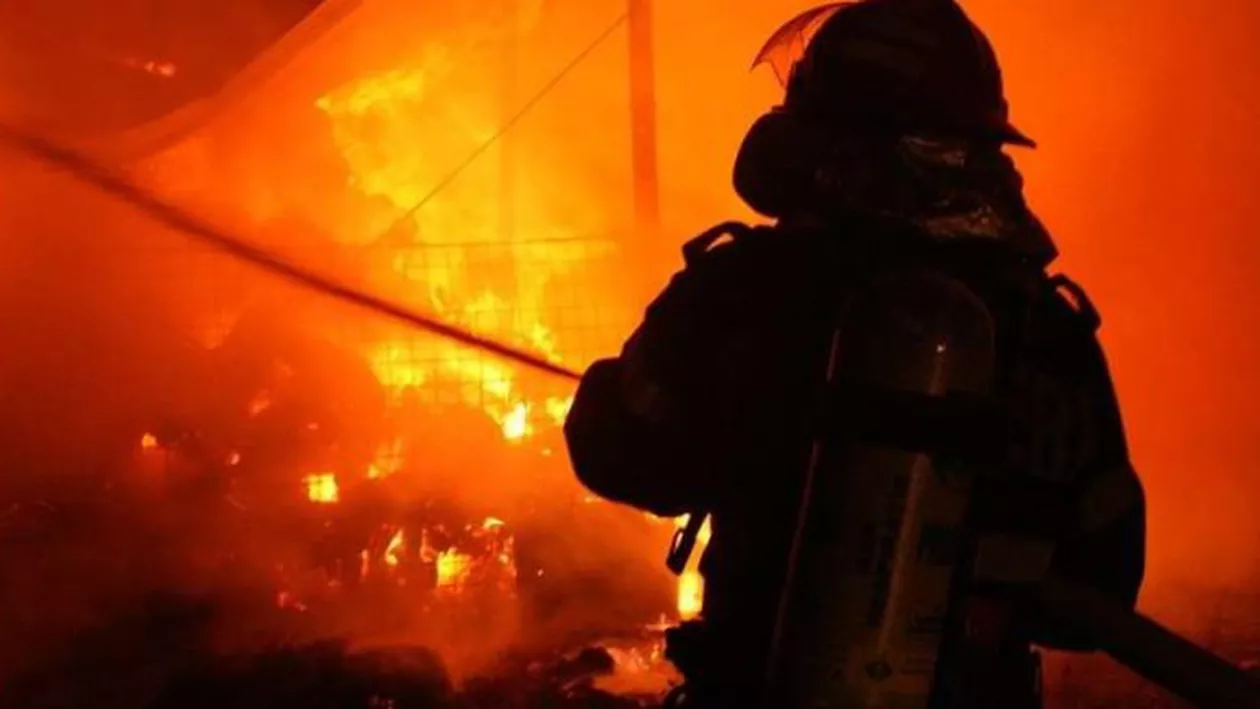 Un incendiu PUTERNIC a cuprins grajdul cu lei și tigri de la Circul Globus: 11 animale au MURIT (VIDEO)