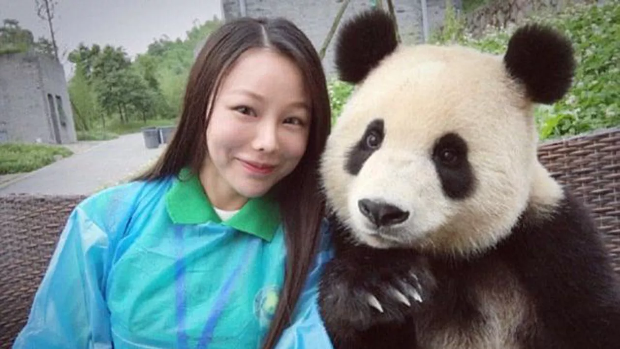 Cel mai fotogenic urs panda! Știe exact cum să pozeze în selfie-urile cu turiștii (FOTO)