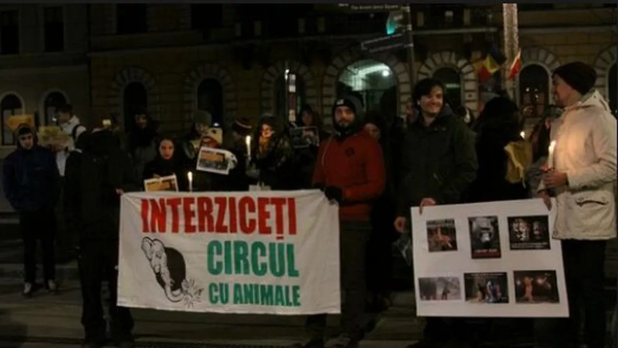 Protest în Cluj: Activiștii pentru drepturile animalelor cer interzicerea spectacolelor de circ
