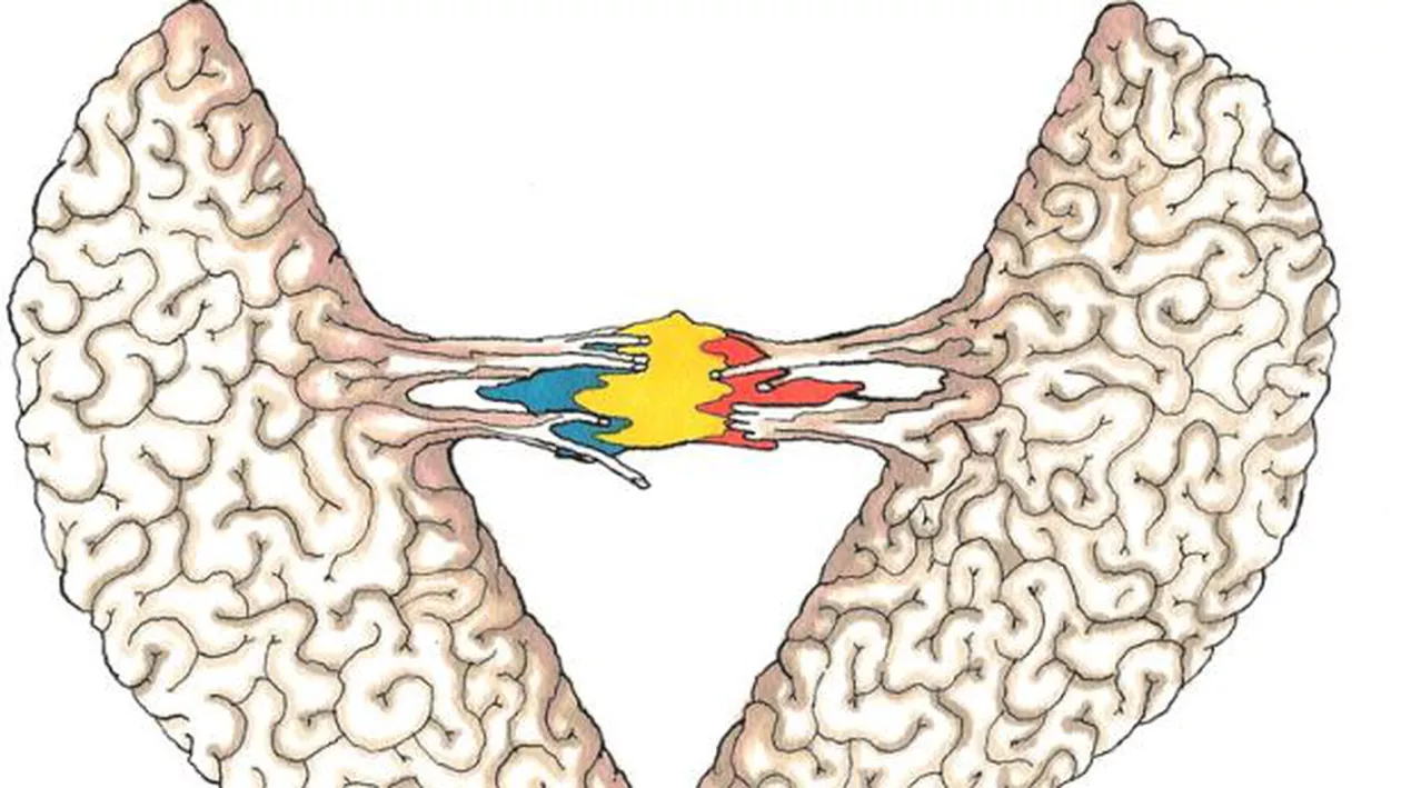 Fostul vicepremier Vasile Dîncu: Hora Unirii e lipsită de substanţă şi sens. Ce o să le spunem copiilor de 24 ianuarie fără a roşi?  La mulţi ani, Românie încă NEUNITĂ!