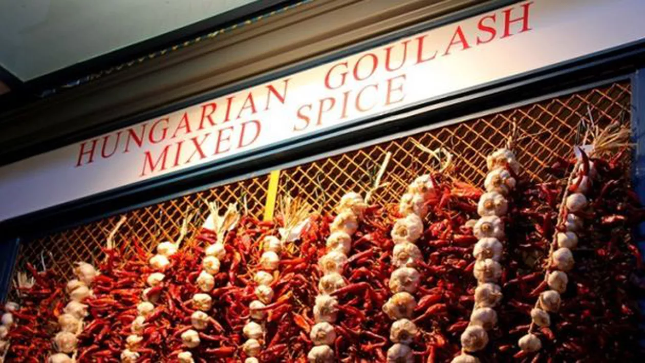 Ungaria pierde miliarde din cauza embargoului de țară impus de Rusia. Putin vine la Budapesta pe 2 februarie