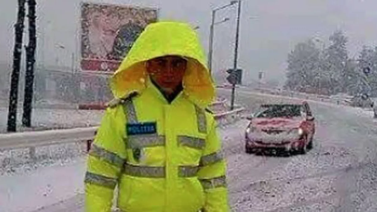 Reacţia unui şofer de Dacia 1310, beat şi şomer: Io-te elefantul! Ăstea-s urechile. Dă-mă în judecată şi o să-i vezi şi trompa. Citește AICI o nouă povestire MARCA Godină