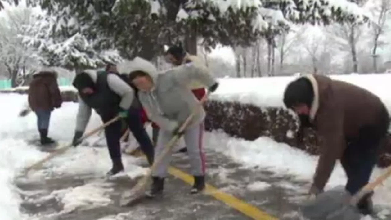 "Mă ia capul, FREZOANE!" DESZĂPEZIREA în folosul comunității provoacă VICTIME printre asistații social din Târgoviște! (VIDEO)