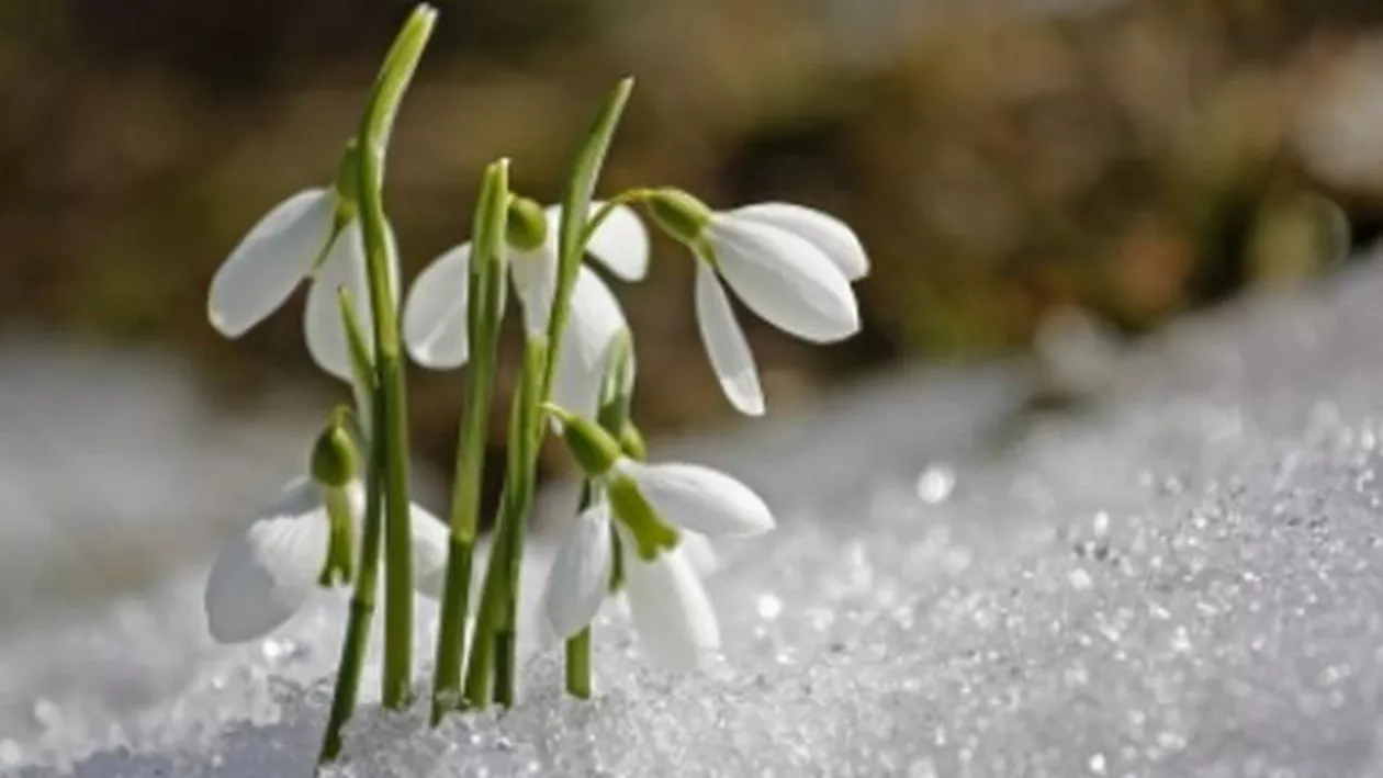 Anunțul meteorologilor pentru sfârșitul de iarnă! Cum va fi vremea în următoarele 2 săptămâni