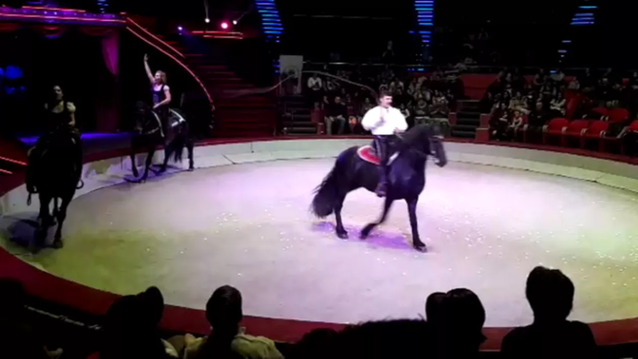 Adio, Fram!... Ultimul spectacol cu animale la Circul Globus din Capitală a avut loc duminică (VIDEO)