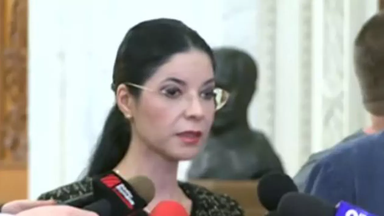 Ana Birchall, întrebată de ce PSD nu a avut o deschidere la dialog înainte de adoptarea OUG 13: Trebuie să evităm greșelile din trecut și să construim prezentul și viitorul, eu așa am învățat (VIDEO)