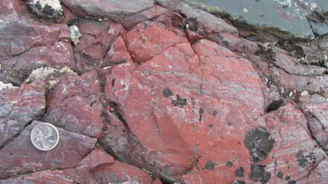 Au fost descoperite cele mai vechi microfosile din lume, cu o vârstă estimată între 3,77 și 4,29 miliarde de ani