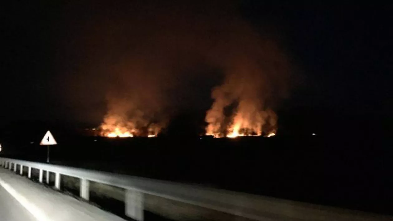 Sibiu: Pompierii au intervenit pentru a stinge 18 incendii de vegetație uscată