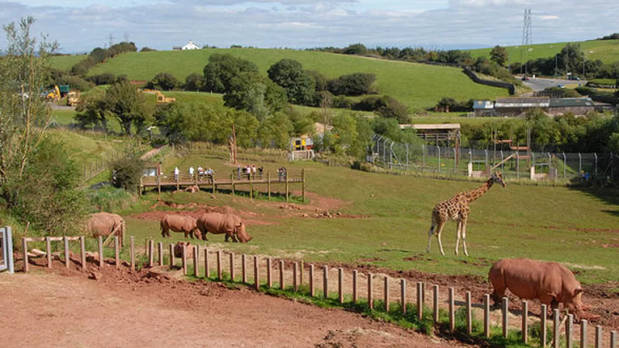Marea Britanie: O grădină zoologică unde au murit circa 500 de animale își pierde autorizația de funcționare