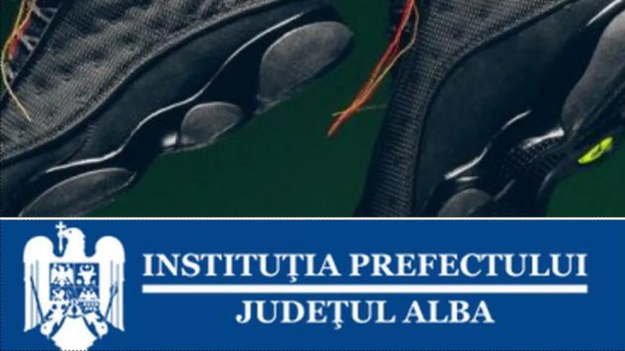 Site-ul Prefecturii Alba, magazin online de pantofi sport: Cum explică funcționarii "defecțiunea tehnică" (VIDEO)