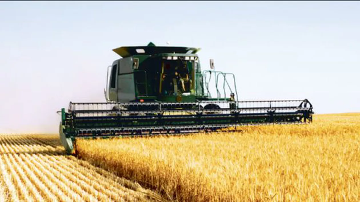 România, țara cu cea mai fragmentată structură a proprietății agricole din UE: 20.000 de proprietari dețin pământ cât 2,85 milioane de mici gospodării