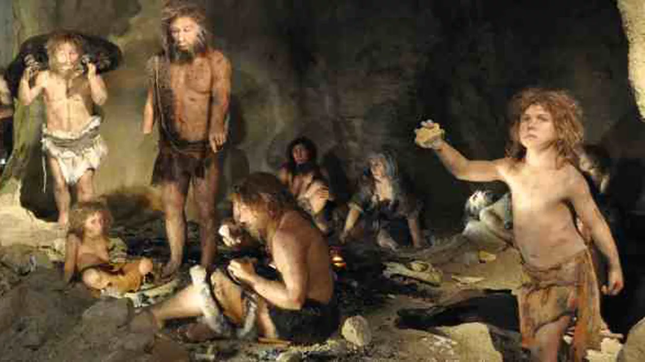 Aspirina ar fi fost descoperită și folosită de oamenii de Neanderthal