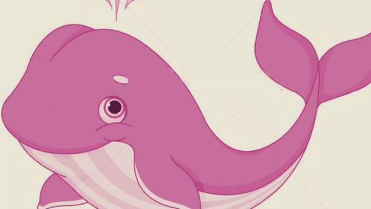 Fifty Shades of Pink: Internauții moldoveni CONTRAATACĂ cu jocul „BALENA ROZ”