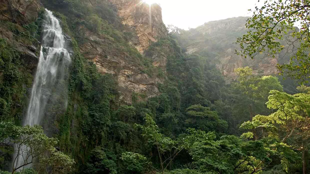 Tragedie în Ghana! Cel puțin 20 de tineri au murit după ce un copac s-a prăbușit într-o cascadă (VIDEO)