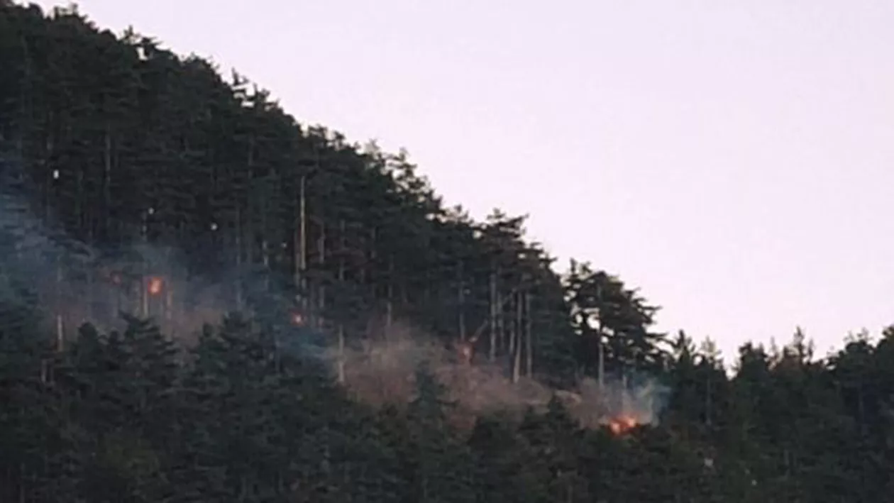 Brașov: Incendiu de vegetație pe muntele Tâmpa. Focul a cuprins o suprafaţă de 500 de metri pătraţi și există riscul să se extindă 