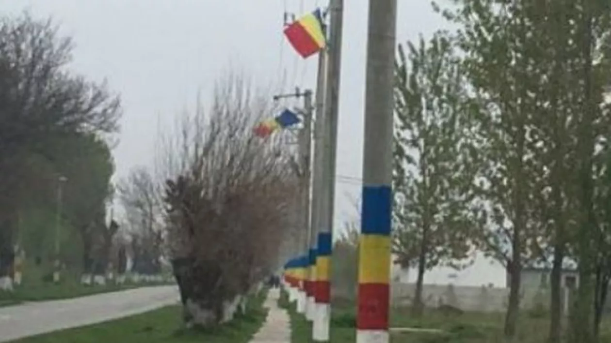 PATRIOTUL ELECTRIC! Un primar a vopsit toți stâlpii din comună în culorile tricolorului (VIDEO, FOTO)