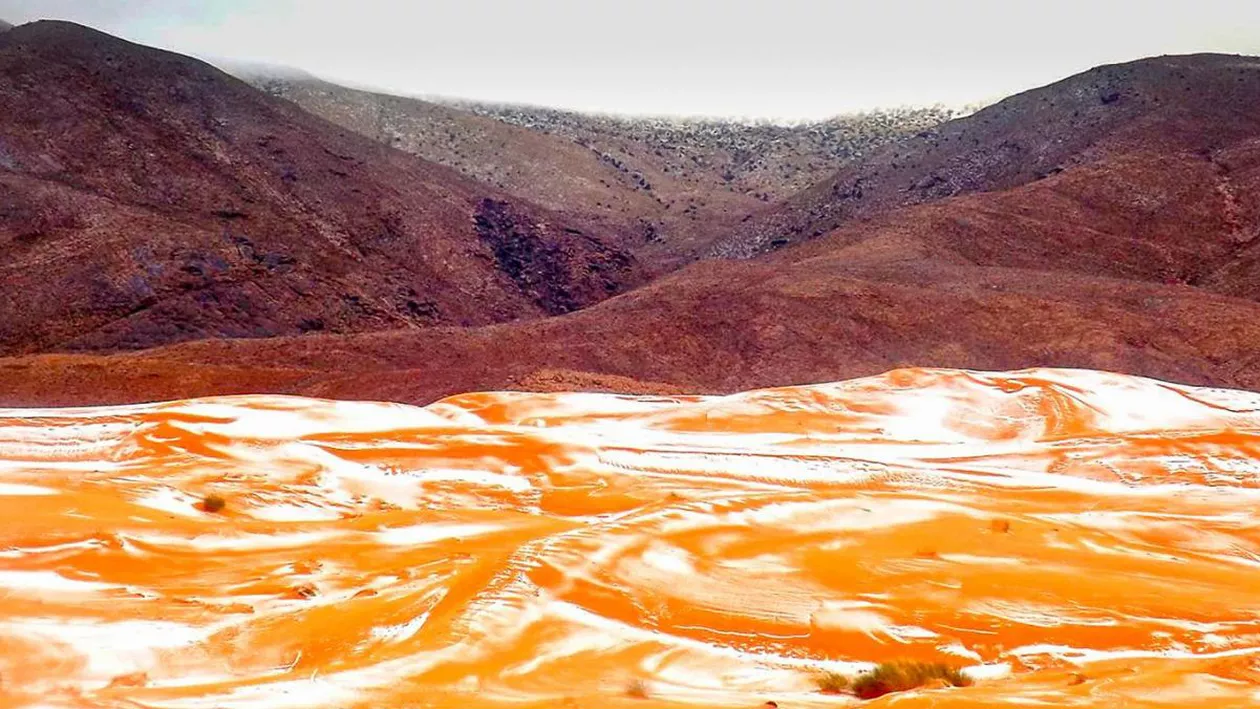 EVENIMENT ULUITOR! NINSOARE în Sahara! Prima zăpadă după 40 de ani a acoperit dunele de nisip (FOTO)