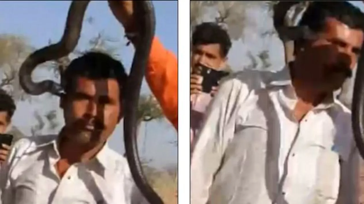 VIDEO ȘOCANT! Un turist în India a vrut să facă o poză cu o cobră și nici nu a realizat că a fost mușcat de față. După numai o oră, a murit (VIDEO)