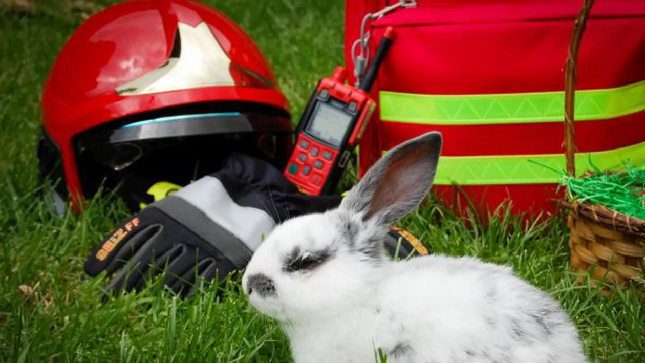 IGSU: Peste 1.000 de intervenții ale pompierilor au avut loc în Noaptea de Înviere, la nivel național