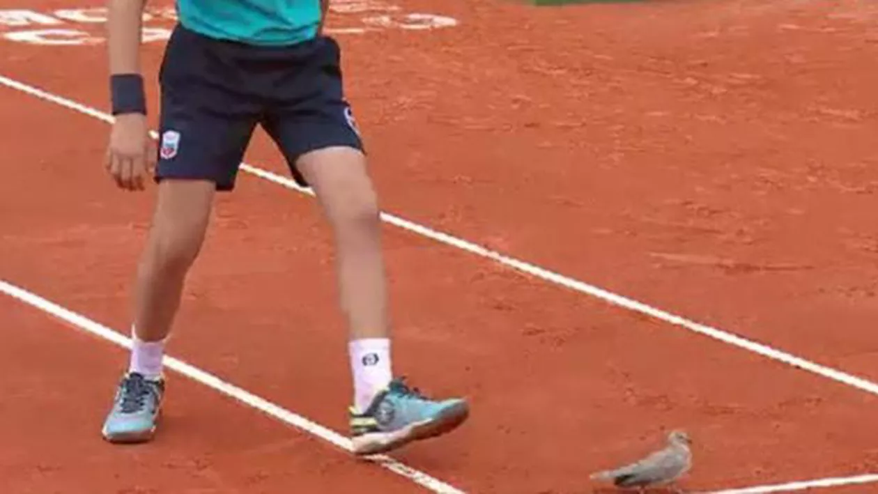 Un GUGUȘTIUC îi pune piedică lui Nadal! Cum a întrerupt pasărea meciul de la Monte Carlo (FOTO, VIDEO)