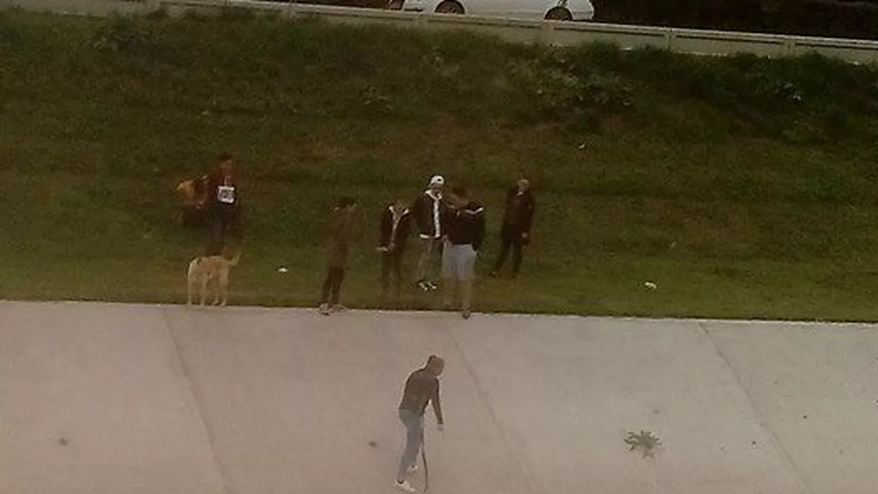 VANDALISM: Un grup de tineri au rupt o bancă și au aruncat-o în apele tulburi ale râului Bahlui din Iași (FOTO)