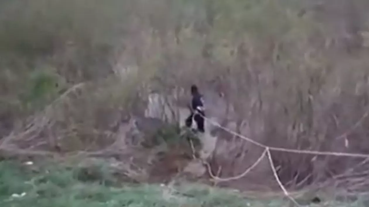 Tragedie la Iași: Doi bărbați care se deplasau cu un ATV au fost luați de viitură (VIDEO)