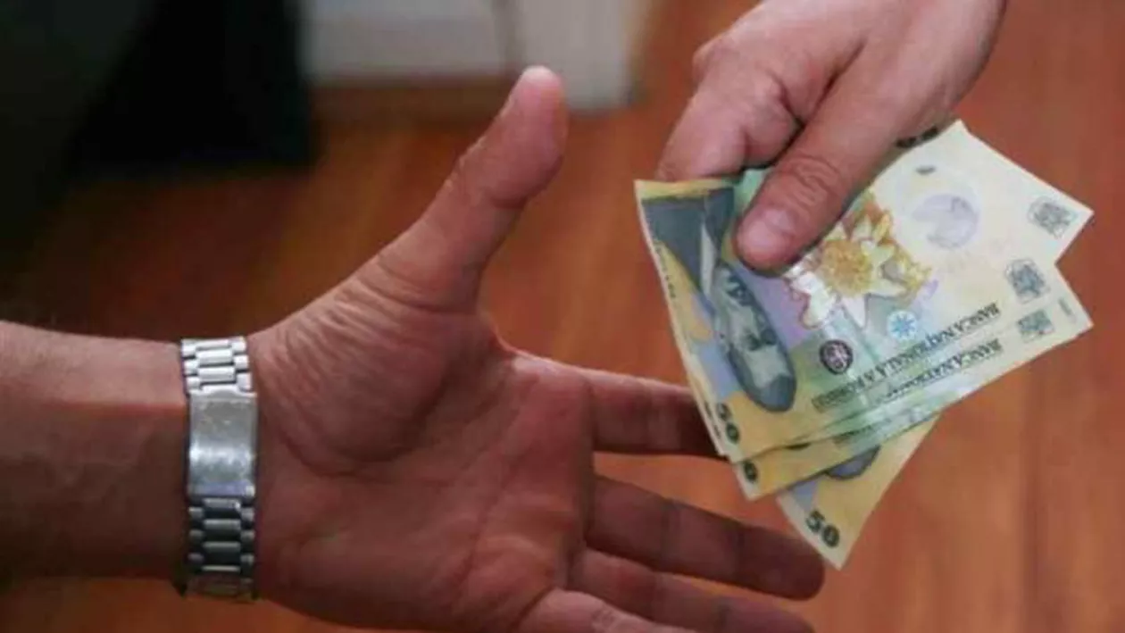 Olguța Vasilescu: N-o să mai aruncăm cu nemiluita bani pe ajutoare sociale / Vom crea divizie specială pentru combaterea muncii la negru