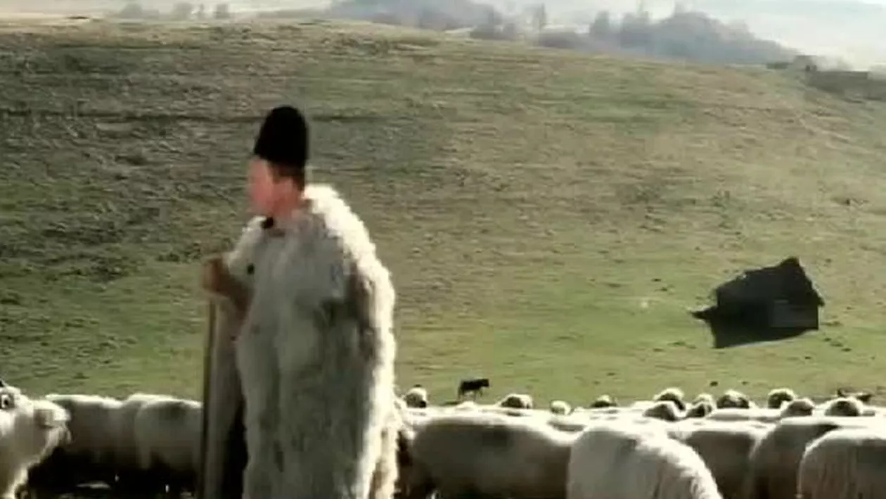 ȘOC la Ministerul Agriculturii! Ghiță Ciobanul, în audiență la ministrul Petre Daea (VIDEO)