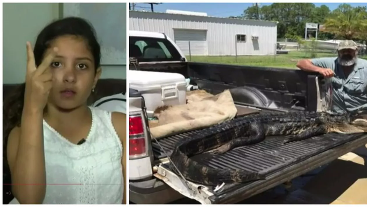 O fetiță a scăpat din gura unui ALIGATOR datorită unui truc învățat într-un parc de distracții (VIDEO)