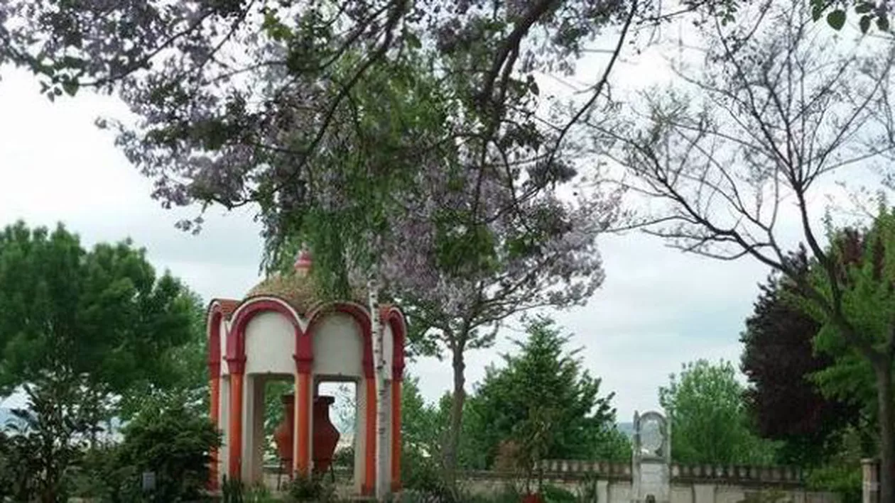 Fenomen ULUITOR la mormântul lui Aurelian Preda de la Dervent! A PLOUAT cu FLORI de liliac (FOTO)