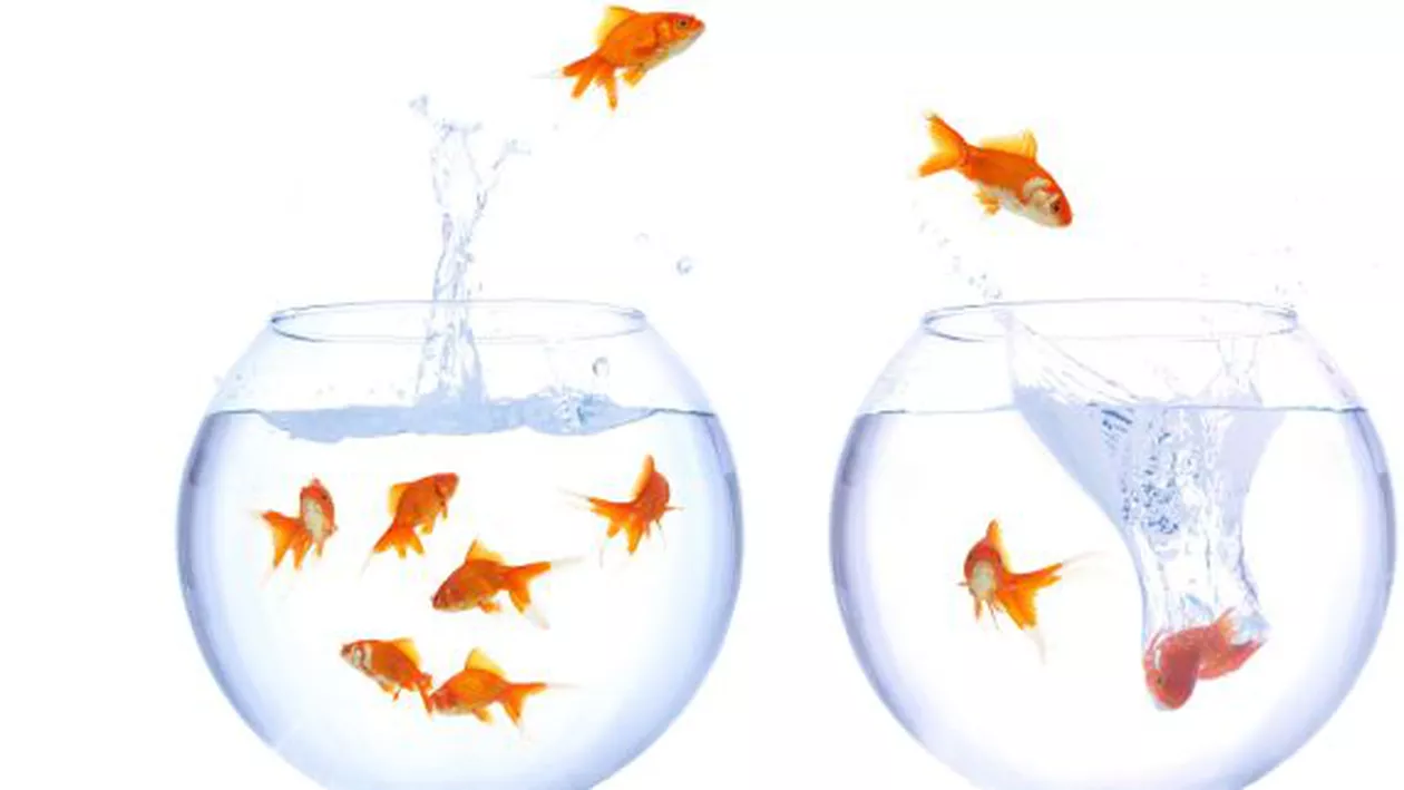 Şeful Heineken: Emigraţia românilor nu aduce lucruri bune nici ţării şi nici businessurilor