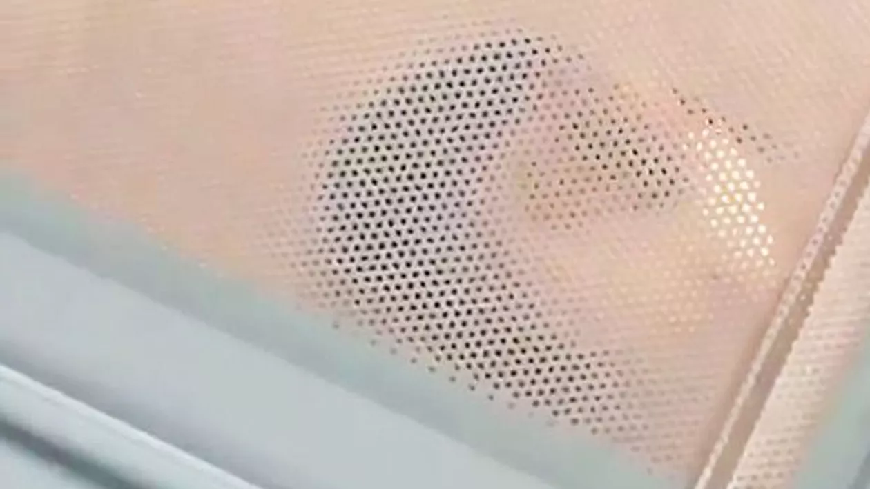 IMAGINI ȘOCANTE! O adolescentă a încercat să-și gătească porcușorul de guineea. Internauții au criticat-o aspru după ce au văzut scena cu animalul chinuit în cuptorul cu microunde (VIDEO)