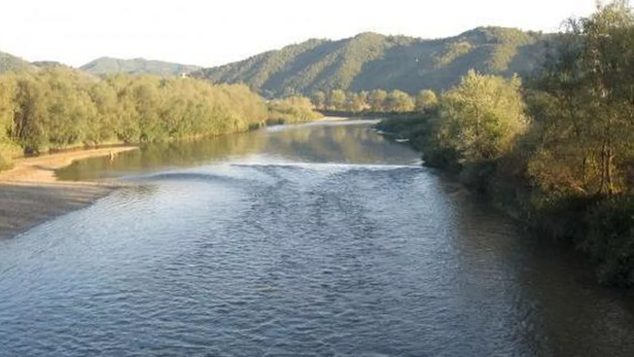 O politiciană din Ungaria acuză o fabrică din Satu Mare de poluarea Someșul (VIDEO)