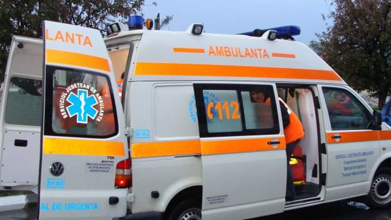 Un elev a fost mușcat de un șarpe din curtea unei școli din județul Timiș
