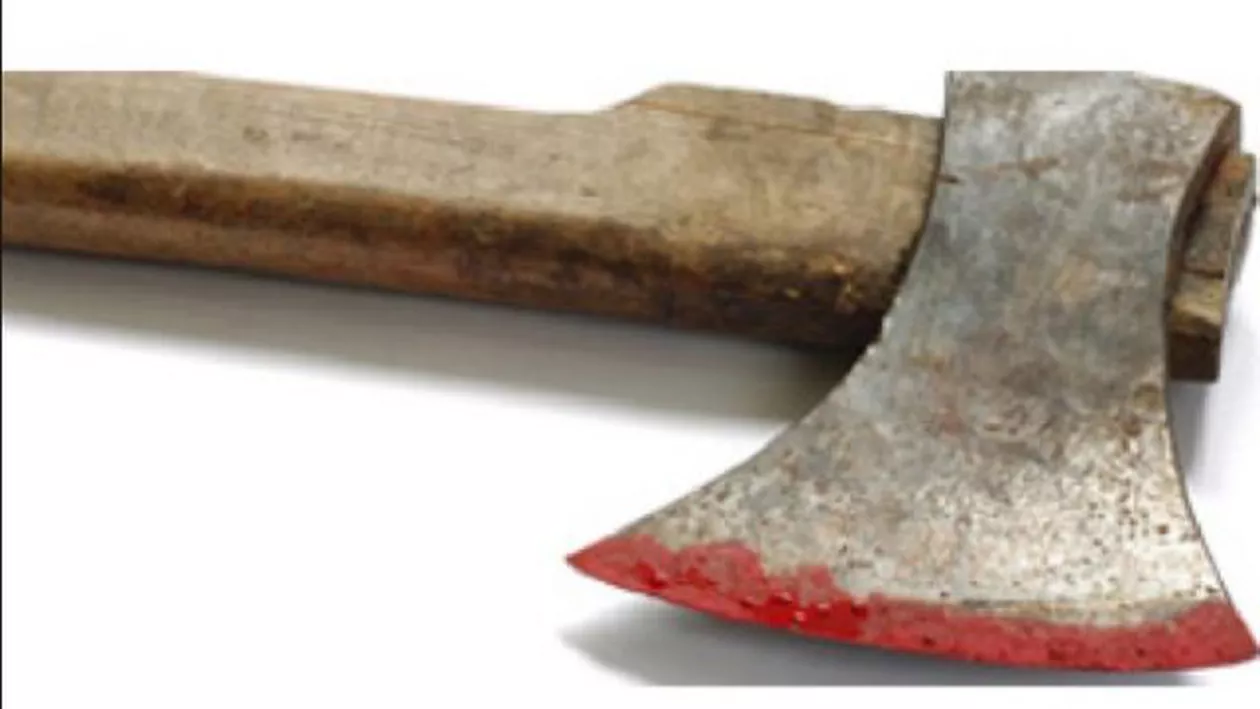 Caz șocant în județul Neamț: Un bărbat a fost bătut cu toporul chiar în fața copiilor săi (VIDEO)