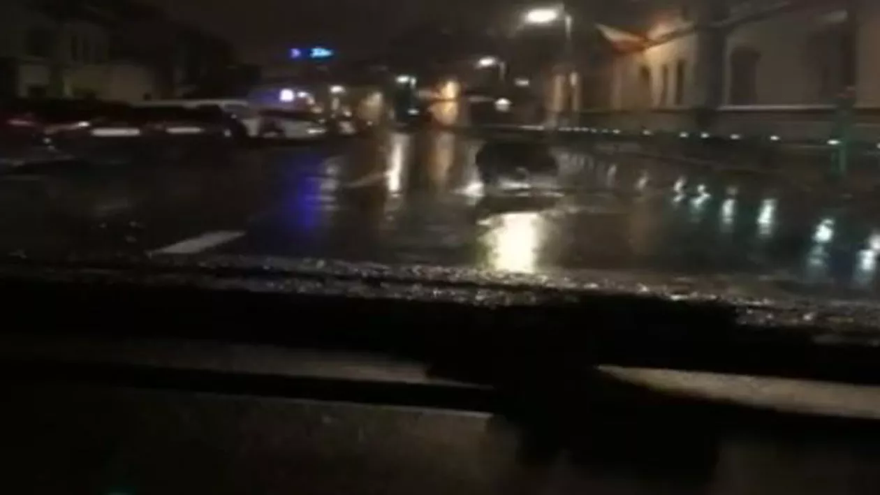 Imagini incredibile din Brașov: Un urs a coborât în oraș și a început să alerge printre mașini și pietoni (VIDEO)