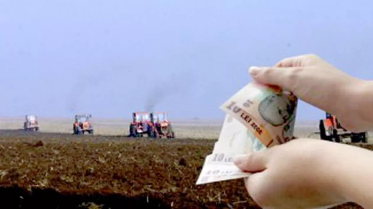 PARADOX! Proiectul Legii privind salarizarea bugetarilor REDUCE salariile angajaților APIA, unii dintre cei mai PERFORMANȚI din sistem