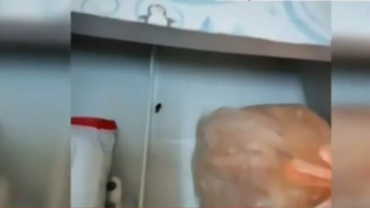 Imagini revoltătoare: Gândaci, filmați într-un salon de la secția de pediatrie a Spitalului de Urgenţă din Arad (VIDEO)