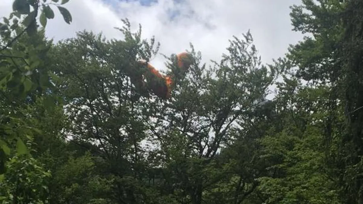 Cu PARAPANTA în copac: Un turist francez a fost salvat de pompieri, în apropiere de Sinaia (VIDEO)