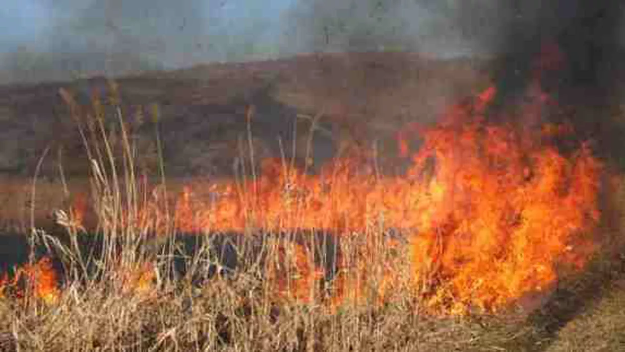 Alertă pe Autostrada Soarelui! Circulația întreruptă din cauza unui incendiu de vegetație