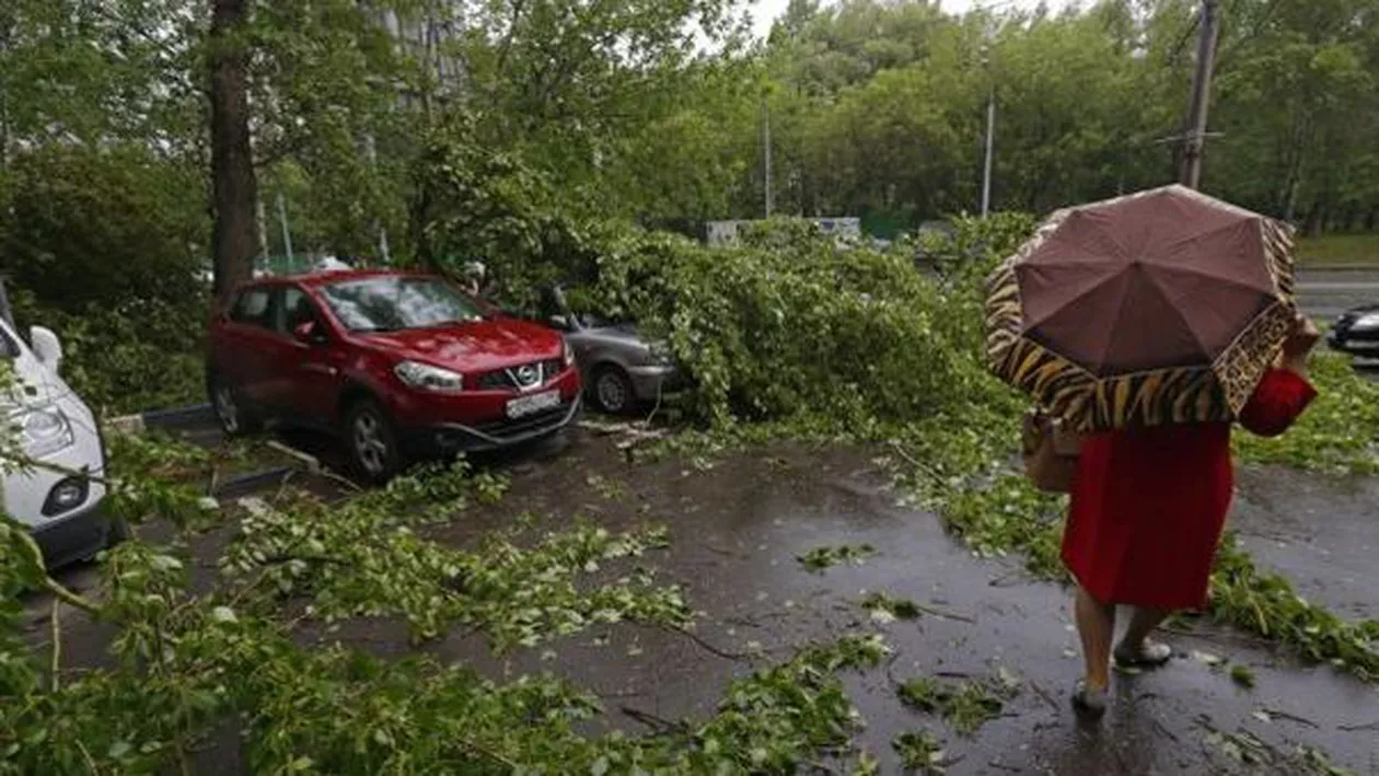 Furtună puternică în Capitală: Numeroase zone au fost afectate de căderile de copaci (VIDEO)